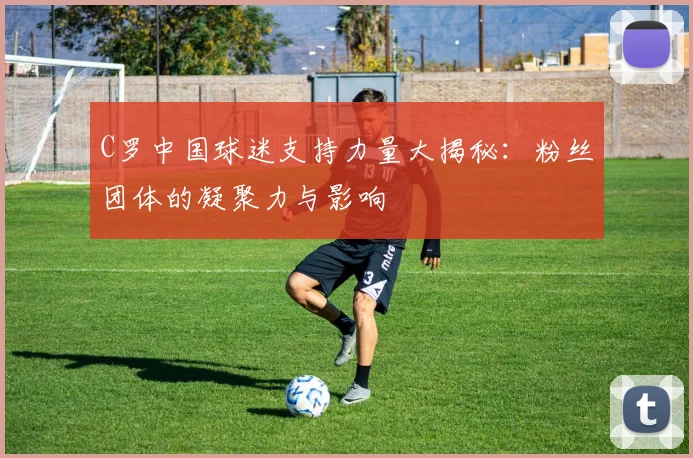 C罗中国球迷支持力量大揭秘：粉丝团体的凝聚力与影响