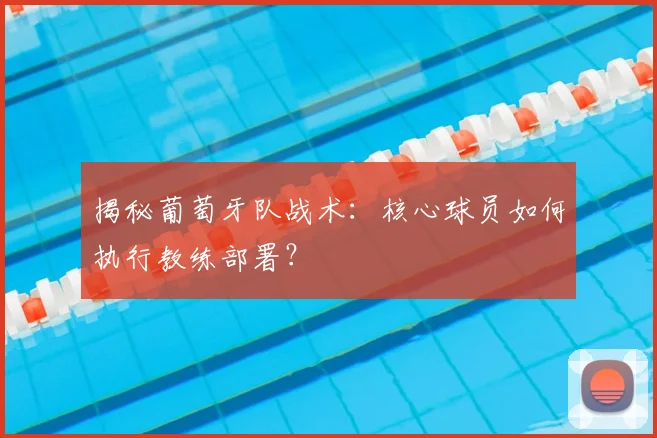 揭秘葡萄牙队战术：核心球员如何执行教练部署？
